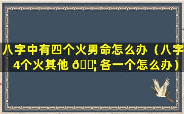 八字中有四个火男命怎么办（八字4个火其他 🐦 各一个怎么办）